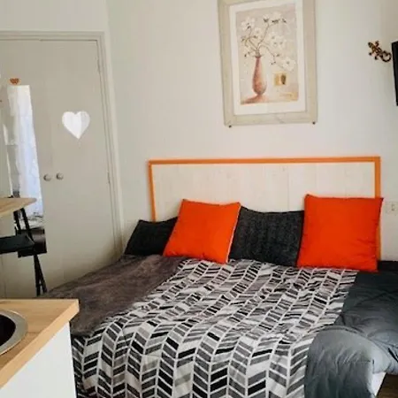 Apartment Cosy Au Centre-ville Avec Wi-fi, Animaux Admis - Fr-1-703-139