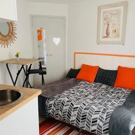 Cosy Au Centre-ville Avec Wi-fi, Animaux Admis - Fr-1-703-139 Apartment *